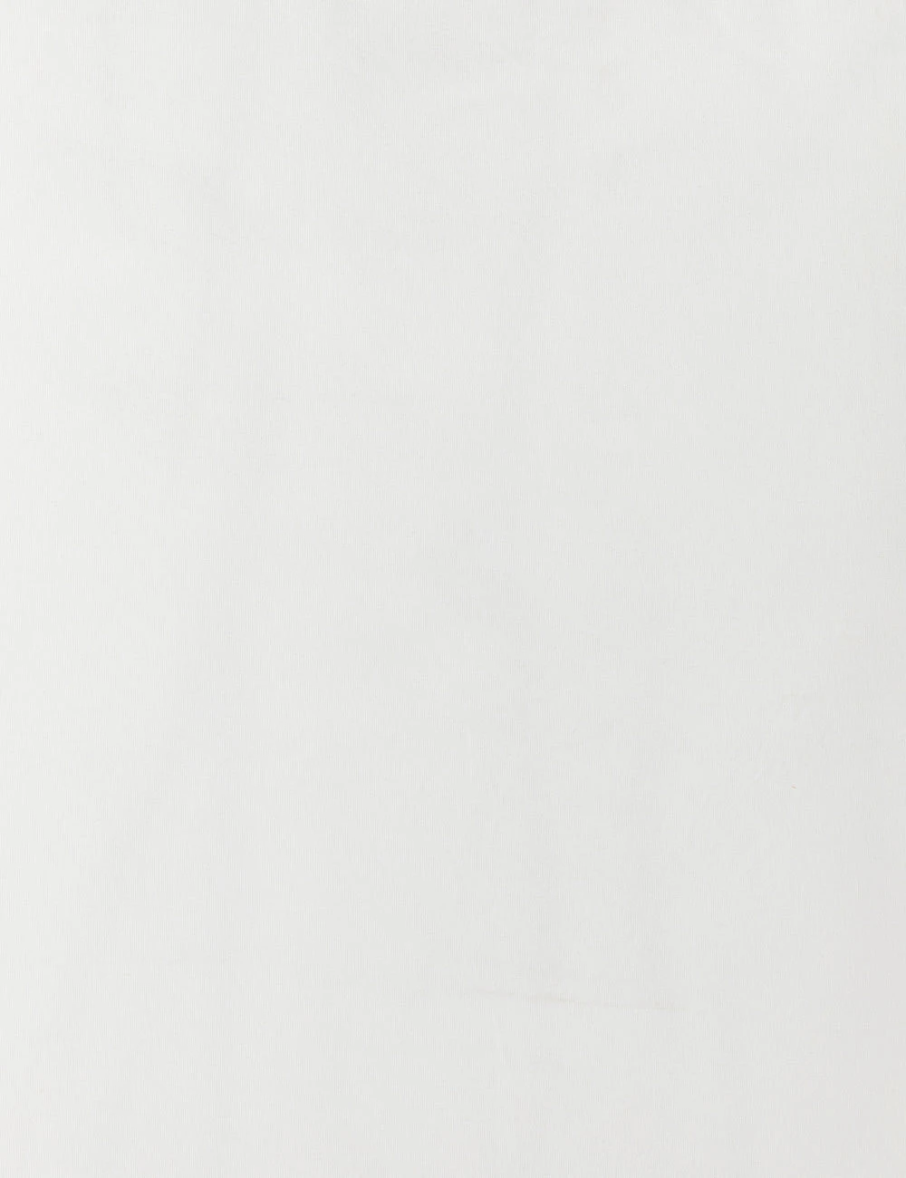 Anson Indoor / Outdoor Accent Chair - Image 6