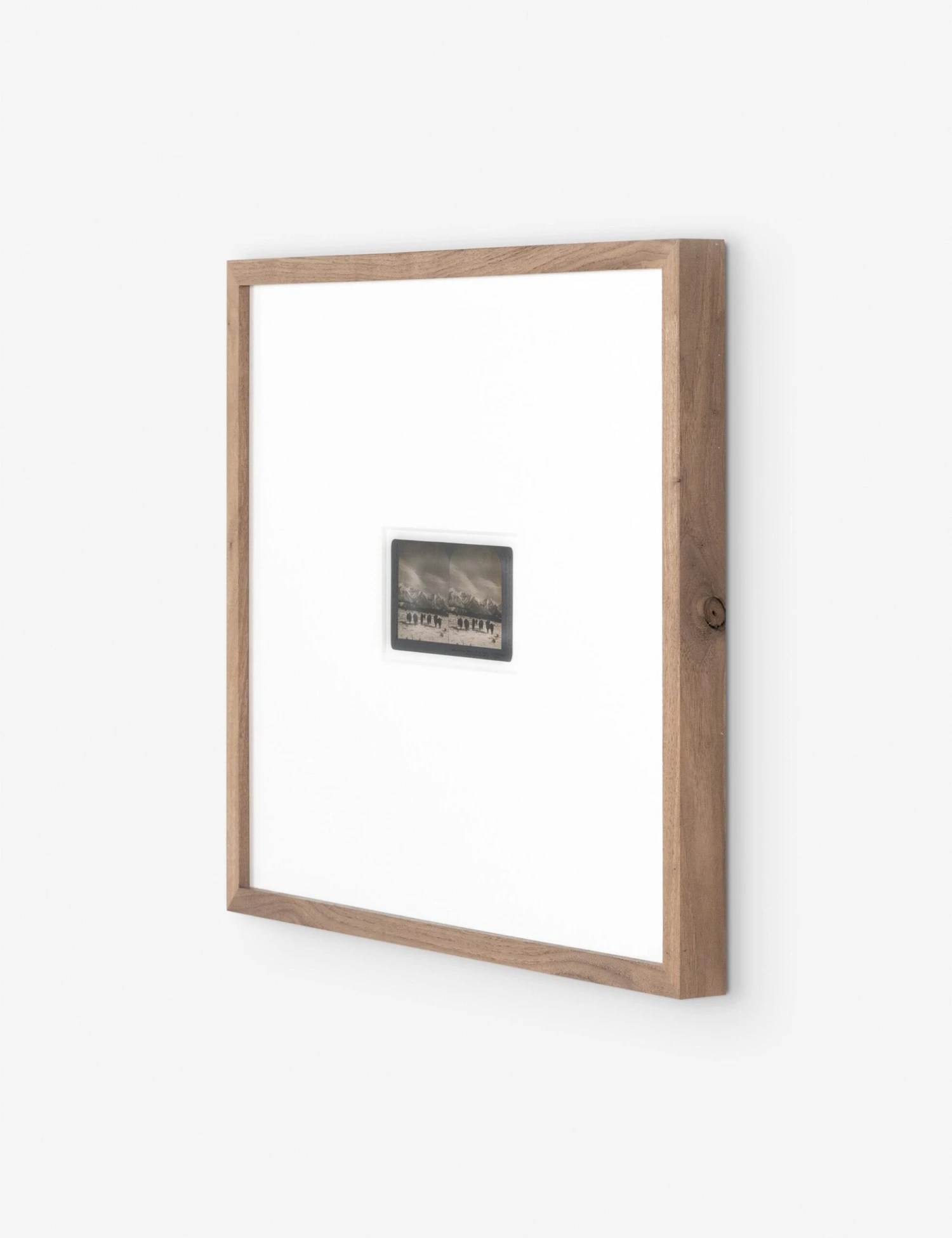 Monarch Of The Plain Photography Print By Gold Rush Art Co - Image 2