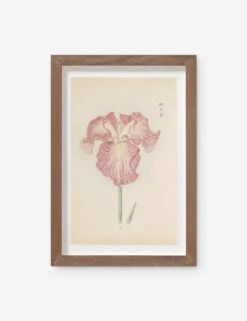 Vintage Japanese Iris No. 18 Wall Art By Miyoshi Manabu