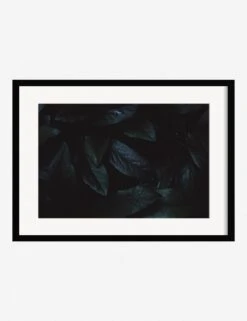 Still Life 3 Photography Print By Ashley Johnson