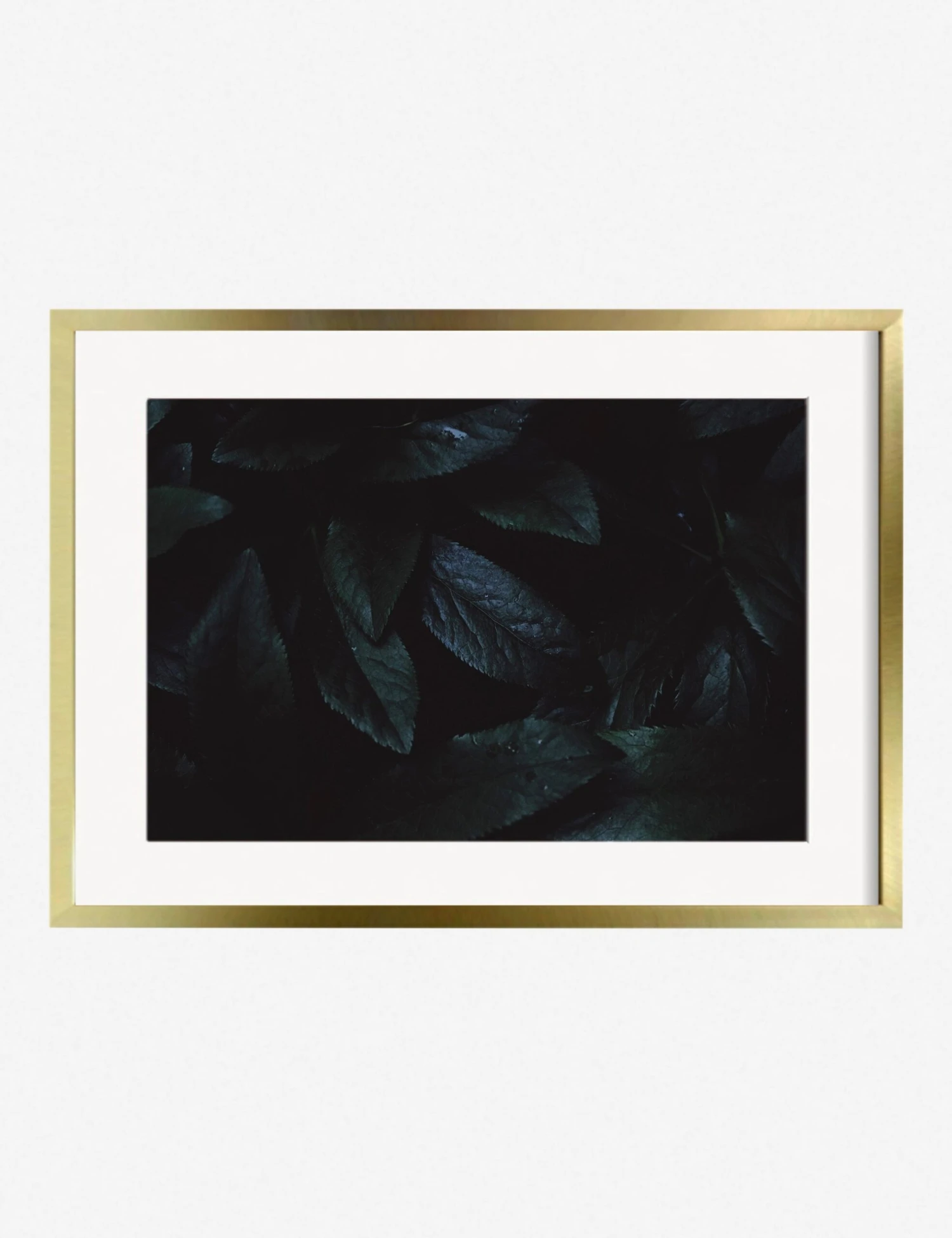 Still Life 3 Photography Print By Ashley Johnson - Image 2