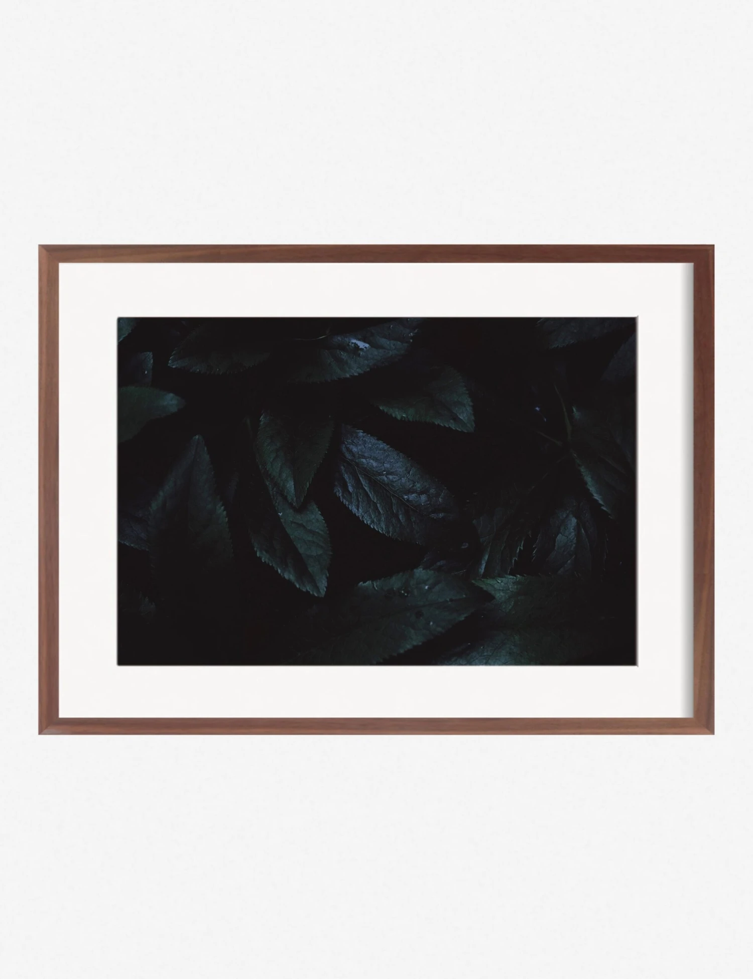Still Life 3 Photography Print By Ashley Johnson - Image 4
