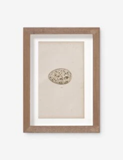 Vintage Bird Watercolor No. 309 Wall Art By Visual Contrast