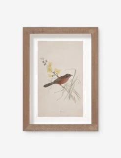 Vintage Bird Watercolor No. 69 Wall Art By Visual Contrast