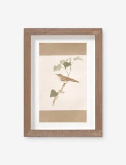 Vintage Bird Watercolor No. 70 Wall Art By Visual Contrast