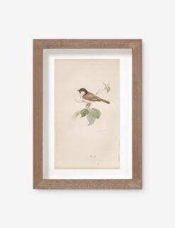 Vintage Bird Watercolor No. 78 Wall Art By Visual Contrast
