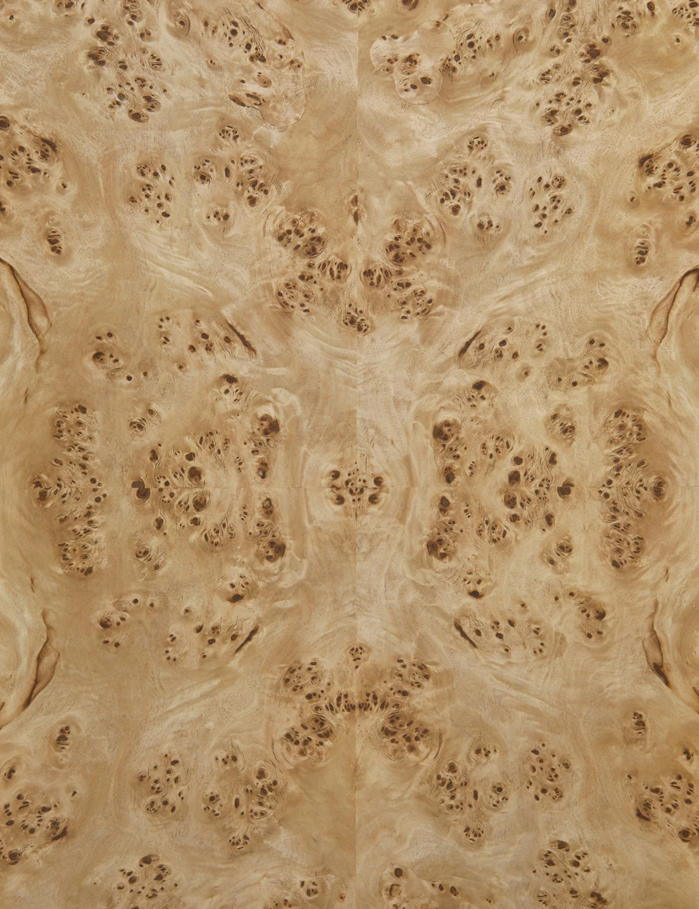 Chloe Burl Wood Side Table - Image 5