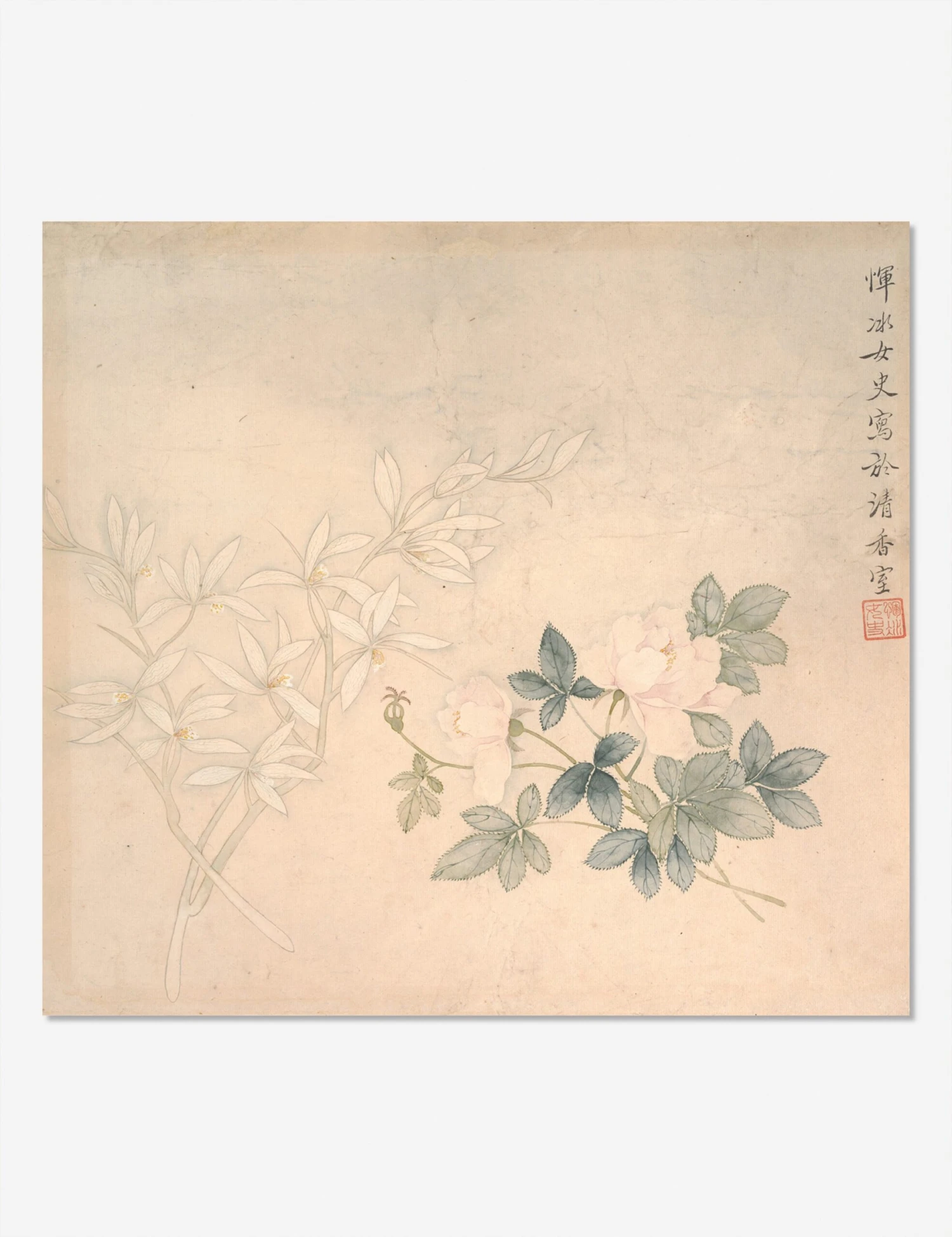 Flower Study 1 Print By Yun Bing - Image 2