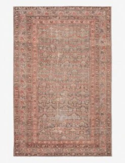Cataleya Rug