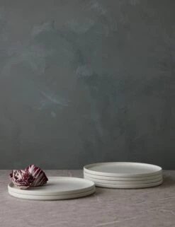 Redonda Dinner Plate (Set Of 6) By Costa Nova