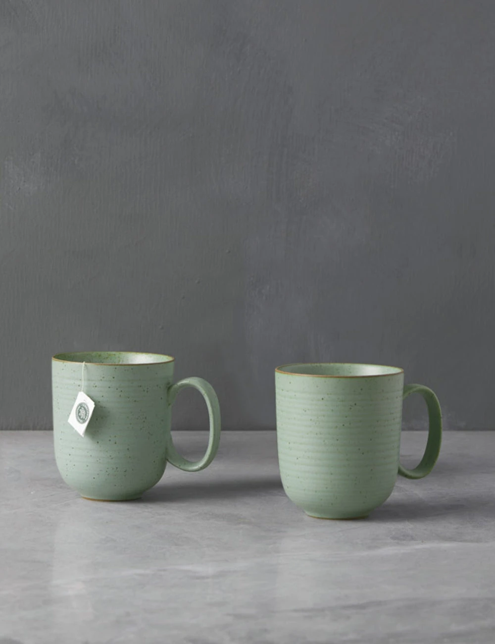 Nature Mugs (Set Of 2) By Thomas For Rosenthal - Image 3